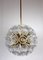 Dandelion Hanging Lamp with Glass Flowers and Brass, 1950s, Image 3