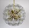 Dandelion Hanging Lamp with Glass Flowers and Brass, 1950s 1