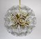 Lampe à Suspension Dandelion avec Fleurs en Verre et Laiton, 1950s 1