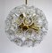 Dandelion Hanging Lamp with Glass Flowers and Brass, 1950s 2
