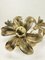 Brass Flower Ceiling Lamp attributed to Willy Daro from Massive, 1970s, Image 7