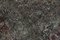 Tappeto grande grigio sovratinto, Immagine 9
