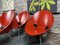 Chaises S664 par Eddie Harlis pour Thonet, Set de 6 11