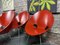 S664 Chairs by Eddie Harlis for Thonet, Set of 6 11