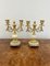 Victorian Ormolu and Marble Candelabras, 1860s, Set of 2 6