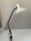 Vintage Lamp Agrafe by J. J. M. Hoogervorst for Anvia, 1960s 1
