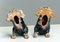 Early 20th Century Chinese Ceramic Foo Dogs, Set of 2 2