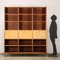 Vintage Italian Bookshelf in Exotic Wood, 1960s 2