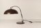 Brutalist Desk Lamp by Hala Zeist, 1960s 4