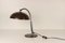 Brutalist Desk Lamp by Hala Zeist, 1960s 7