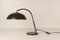 Brutalist Desk Lamp by Hala Zeist, 1960s 5