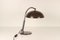 Brutalist Desk Lamp by Hala Zeist, 1960s, Image 11