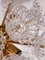 10-Light Flower Sputnik Chandelier in Murano Glass & Brass in the style of Venini, 1960s 2
