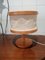 Vintage Evoluction Lamp, 1970s 1