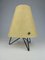 Mid-Century Table Lamp with Fiberglass Shade, 1950 3