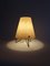 Lampada da tavolo Mid-Century con paralume in fibra di vetro, 1950, Immagine 7