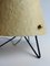 Mid-Century Table Lamp with Fiberglass Shade, 1950 5