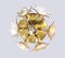 Soporte floral Sische Sputnik de cristal de Murano ámbar y latón, años 60, Imagen 2