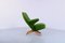 Green Pinguin Easy Chair by Theo Ruth for Artifort , 1950s 7