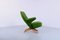 Green Pinguin Easy Chair by Theo Ruth for Artifort , 1950s, Image 7