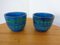 Italian Rimini Blue Ceramic Cachepots by Aldo Londi for Bitossi, 1960s, Set of 2 1