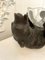 Antique Victorian Black Forest Bear Bowl, 1860, Image 6