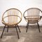 Mid-Century Stuhl aus Bambus & Metall von Rohe Noordwolde, 1960er, 2er Set 13