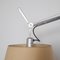 Tolomeo Mega Floor Lamp with Parchment Shade from Artemide, 2000s 7