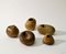 Studio Ceramic Pebble Vases in Earth Tones by Jaan Mobach, 1967, Set of 13, Image 3