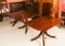 Antique Regency Triple Pillar Dining Table & Chairs, 19th Century, Set of 13 10