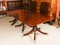 Antique Regency Triple Pillar Dining Table & Chairs, 19th Century, Set of 13 9