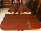 Antique Regency Triple Pillar Dining Table & Chairs, 19th Century, Set of 13 12