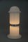 Große tschechoslowakische Stehlampe aus weißem Glas von Karel Volf, 1970er 3