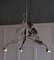 Antique French Art Nouveau Hanging Lamp, 1900s 3