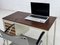 Industrial Style Desk in Metal and Wood, 1950s 4