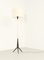 Lámpara de pie con base trípode, Francia, años 50, Imagen 1