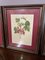 Framed Studies of Fruit Colour Prints, Set of 3 5