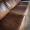 Mid-Century Modular Sofa in Dark Brown Leather, Set of 3 6