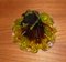 Flower Murano Glass Bowl in Green Yellow Brown, 1960s 4