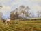 James Wright, English Countryside with Horses, 1990, Oil Painting, Framed, Image 4
