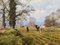 James Wright, English Countryside with Horses, 1990, Oil Painting, Framed, Image 3