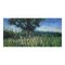 Colin Halliday, Summer Meadow Landscape with Tree, Impasto Oil Painting, 2012, Incorniciato, Immagine 1