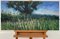 Colin Halliday, Summer Meadow Landscape with Tree, Impasto Oil Painting, 2012, Framed 2