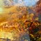 Colin Halliday, paisaje de río de otoño inglés, pintura al óleo original, 2011, Imagen 5