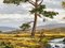 Robert Egginton, paisaje fluvial de las tierras altas de Escocia, siglo XX, pintura al óleo, enmarcado, Imagen 3