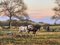 James Wright, Horse-Drawn Plough with Two Horses, Ploughman and Dog, 1990, Oil on Canvas 11
