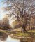 John S Haggan, Autumn Trees by River in County Tyrone, 1985, Öl 11