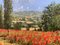 Tim Layzell, Poppy Field in the Sunshine in Europe, 2010, Painting, Framed 11