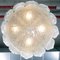 Large Mid-Century Ice Glass Chandelier from Doria 13