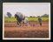 Gregory Moore, Horses with Farmer & Plough in Irish Countryside, 2000, Painting, Framed 8